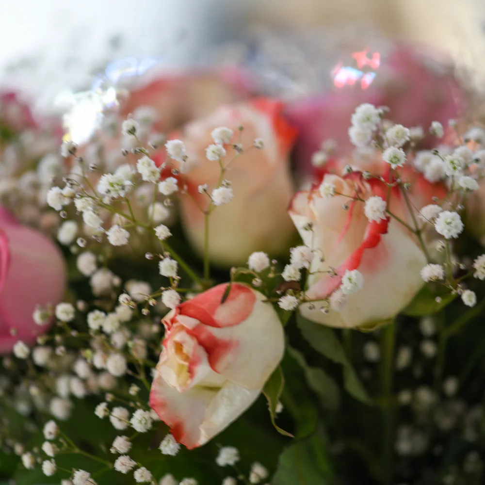 Tropical flowers growing on Rotuma